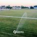 Unión Deportiva de Bonifacio volvería a participar con primera división