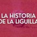 La historia de la Liguilla