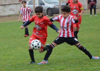 Comenzó el Clausura de Inferiores