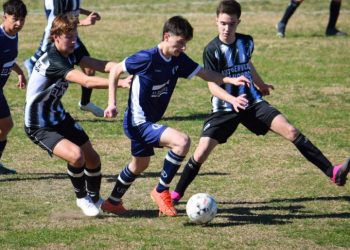 Inferiores: Se jugó la fecha 8 del Clausura