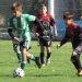 Se jugó la fecha 7 del Apertura de Inferiores