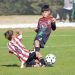 Se jugó la fecha 12 del Apertura de inferiores