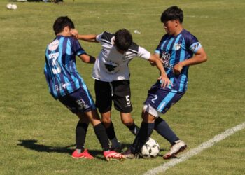Se jugó la fecha 12 del Clausura de inferiores