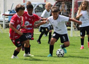 Comenzó el Apertura de inferiores