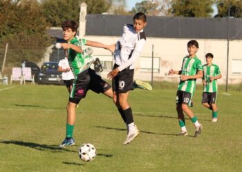 Se jugó la fecha 8 del Apertura de inferiores