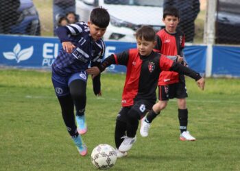 Se jugó la fecha 8 del Clausura de inferiores
